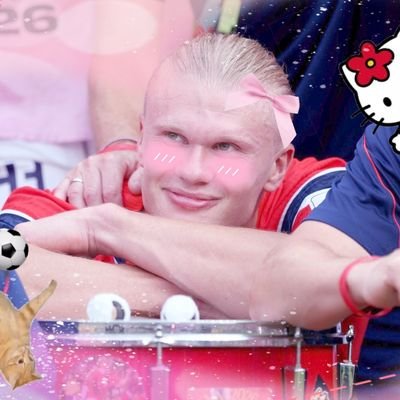 meowrling's profile picture