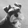 Фото профиля Prof Colin Talbot (and my late pal Rory)
