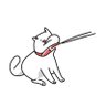 Profilbild von INU