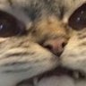 Profilbild von UnspokenClips