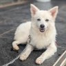 Profilbild von Finn