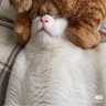 Mr.Nimbus profil fotoğrafı