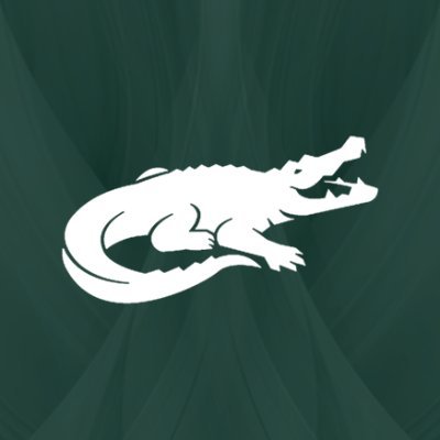 timsahaber16's profile picture