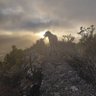 Jardin y huerto ecologico .Manuel Rojas's profile picture
