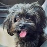 Ollie Ray Boom Boom Tucson Az profil fotoğrafı