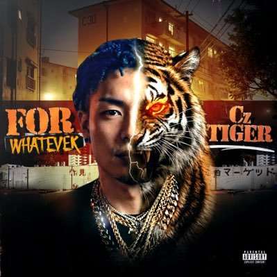 CzTiger__TR's profile picture