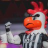 Galo Mineiro 的头像