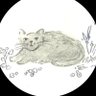 Profilbild von おはな(レタス🥬)