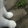 willie profil fotoğrafı