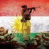 Free Kurdistan ♥️ ☀️💚's profile picture