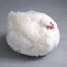 ChickenGPT ็ๅคดๅ