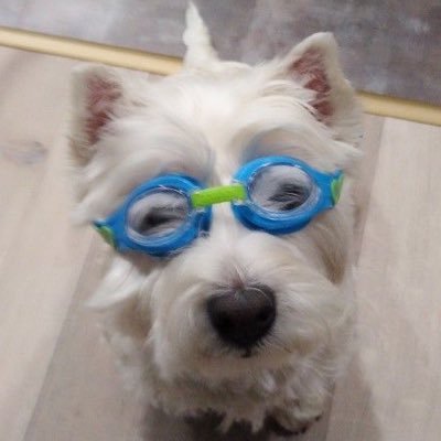 으도's profile picture