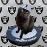 El Gato Negro Loco en una Roomba! 🇲🇽🇺🇸 profil fotoğrafı