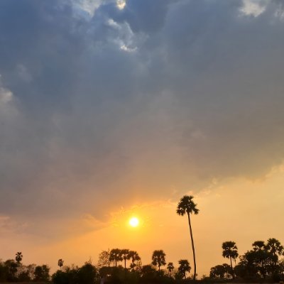 natureinbeauty_'s profile picture