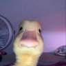BeHappy's profile picture
