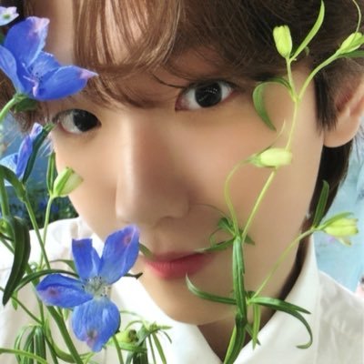 tya ❀࿐'s profile picture