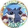 Profilbild von ŌKAMI. 🐦⬛🐺 #BRINGBACKVALKO