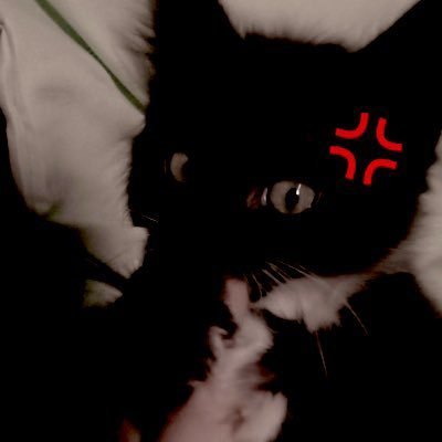 filmaphobia's profile picture