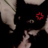 Profilbild von jc ☪︎