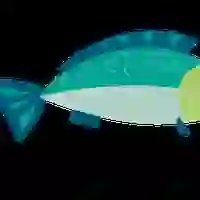 エストラド's profile picture
