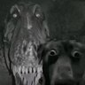 Profilbild von Jason
