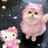 wa ai ni 的头像
