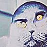 folk's profile picture