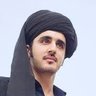 Mir Balach Muree's profile picture