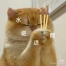 Profilbild von 春日青