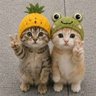 Profilbild von 𝔈 𝔄 ℜ 𝔑 ֶָ֢ ֶָ֢ ֶָ֢⭐️🍃🍊