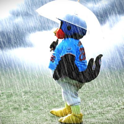 win_swallows_ys's profile picture