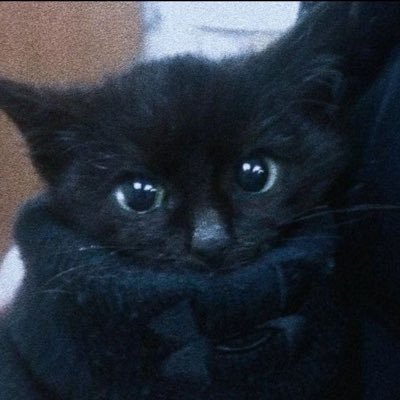 Hanni_slut's profile picture