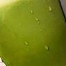Фото профиля 🥑