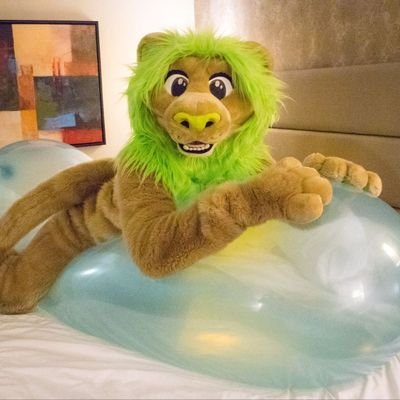 Insama 🦁 / Cozy 🐶 🔜 AC's profile picture