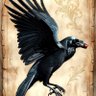 Yeilraven's profile picture