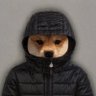 Profilbild von FAWK