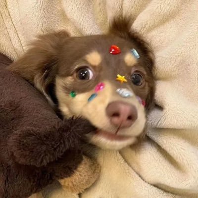 เยะโล่'s profile picture