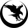 Nighthawk Custom's profile picture