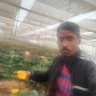 Dharmendra Kumar's profile picture