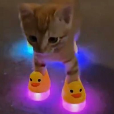 NerfHiru's profile picture