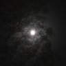 Appledore's profile picture