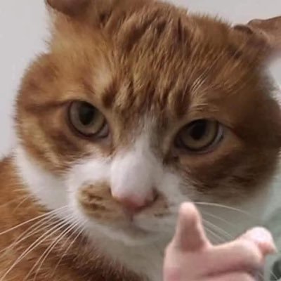 Odeio futebol da silva's profile picture
