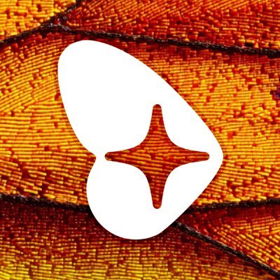 Renoise's profile picture