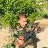 Sibghatullah Ahmadi's profile picture