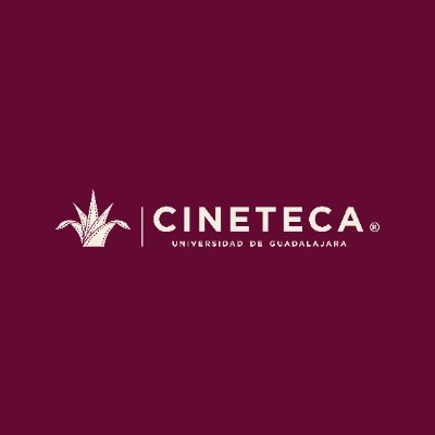 Cineteca FICG's profile picture