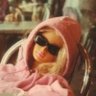 ✵ ✧ ˚ 🧚🏼‍♀️ ☽ * ✺'s profile picture