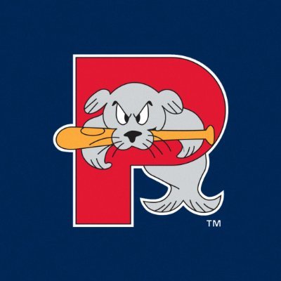 Portland Sea Dogs's profile picture