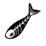 Фото профиля typo.