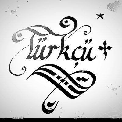Türkçü 𐰀𐰢's profile picture