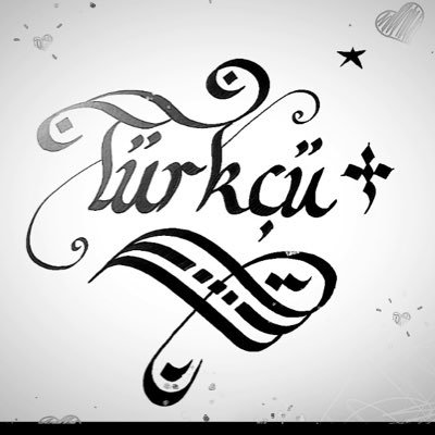 Türkçü 𐰀𐰢's profile picture